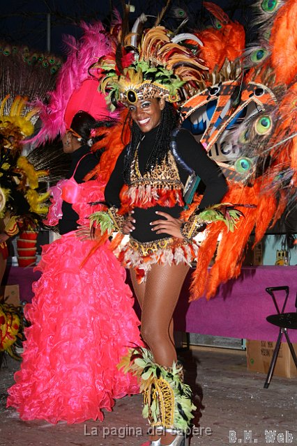 Carnevale 2010 FB (87).JPG